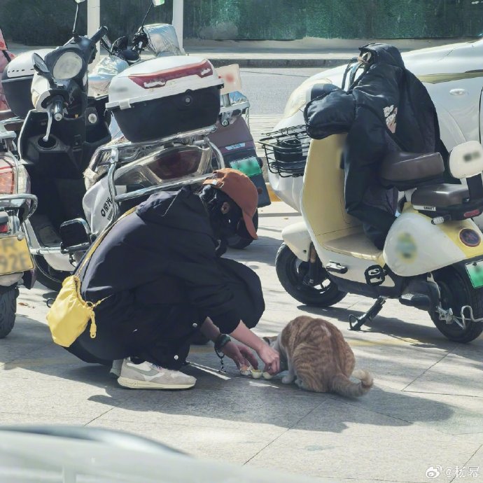 暴龙超新星兴起：西手贡献闪亮表现